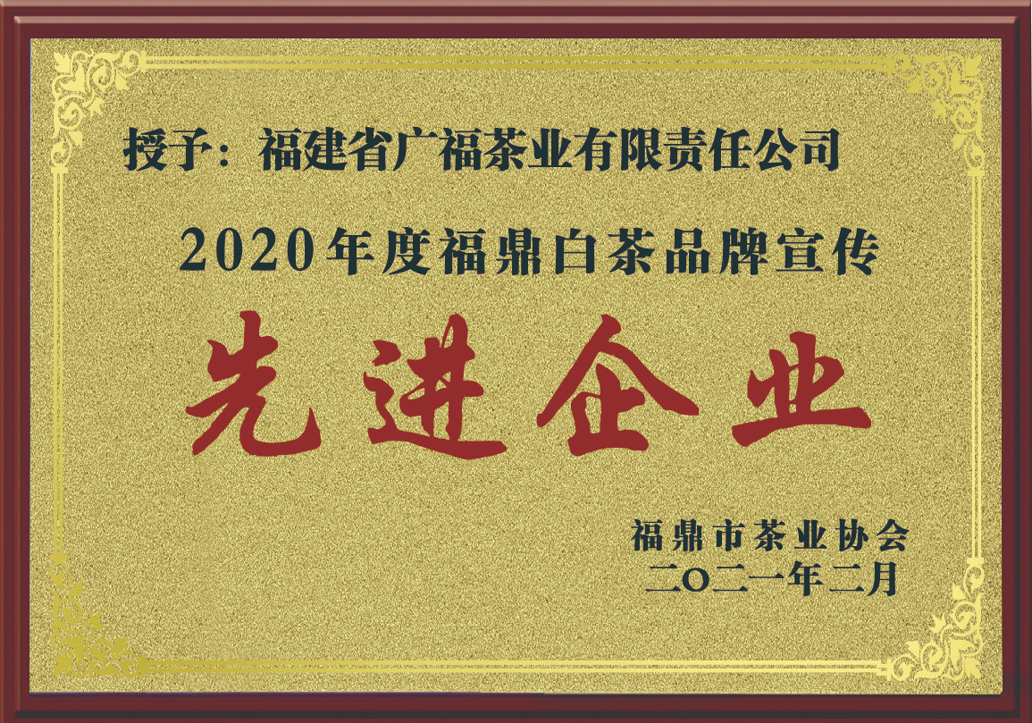 2020年度福鼎白茶品牌宣传先进企业