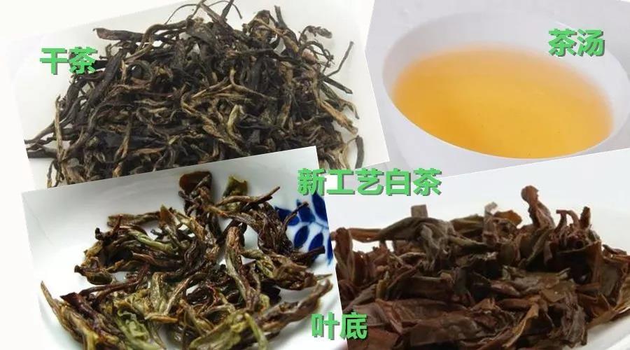 如何辨别新老工艺的福鼎白茶？