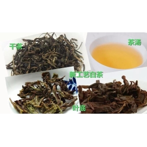 如何辨别新老工艺的福鼎白茶？