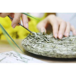 白茶分春秋？究竟谁更胜一筹？