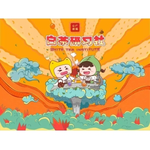 白茶研习社第一期：全国运营中心