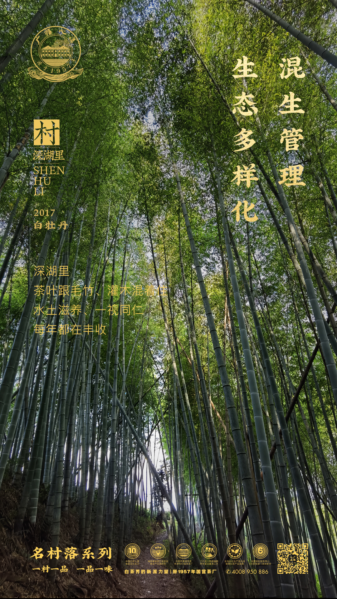 水天清：离国营茶厂最近的“名村味”，你绝不能错过|心品上市(图4)