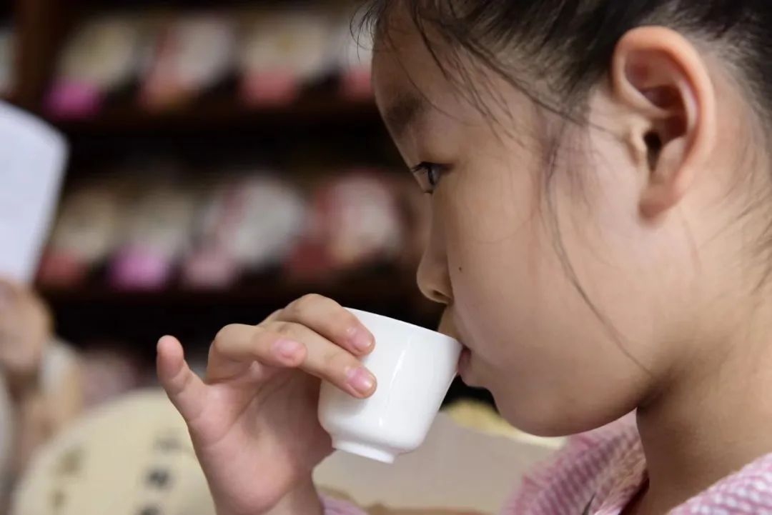 深圳站品鉴会首秀告捷，传播福鼎白茶味(图7)