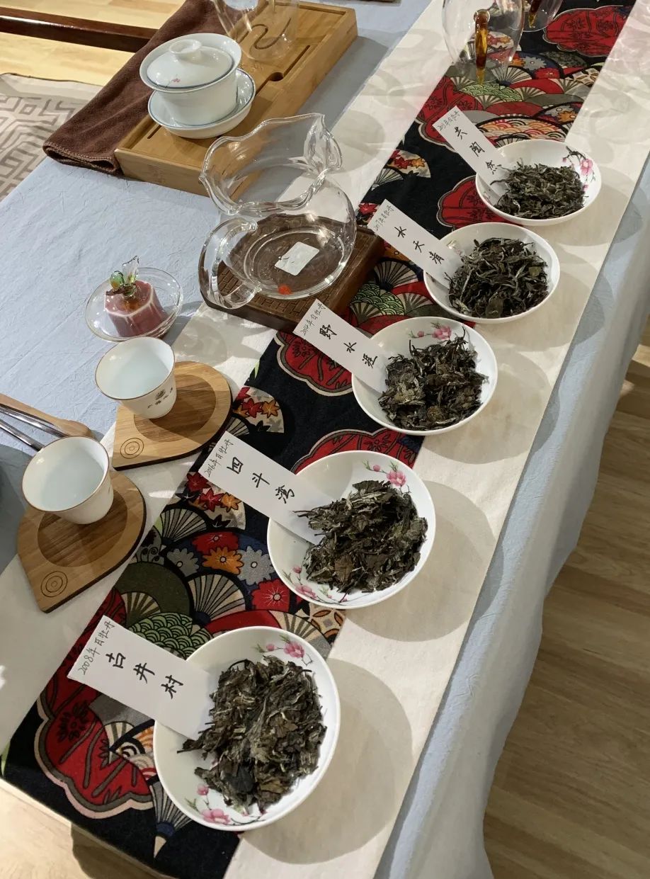 青州站2大品鉴现场精彩回顾：钟情村落，首家双场举办！(图2)