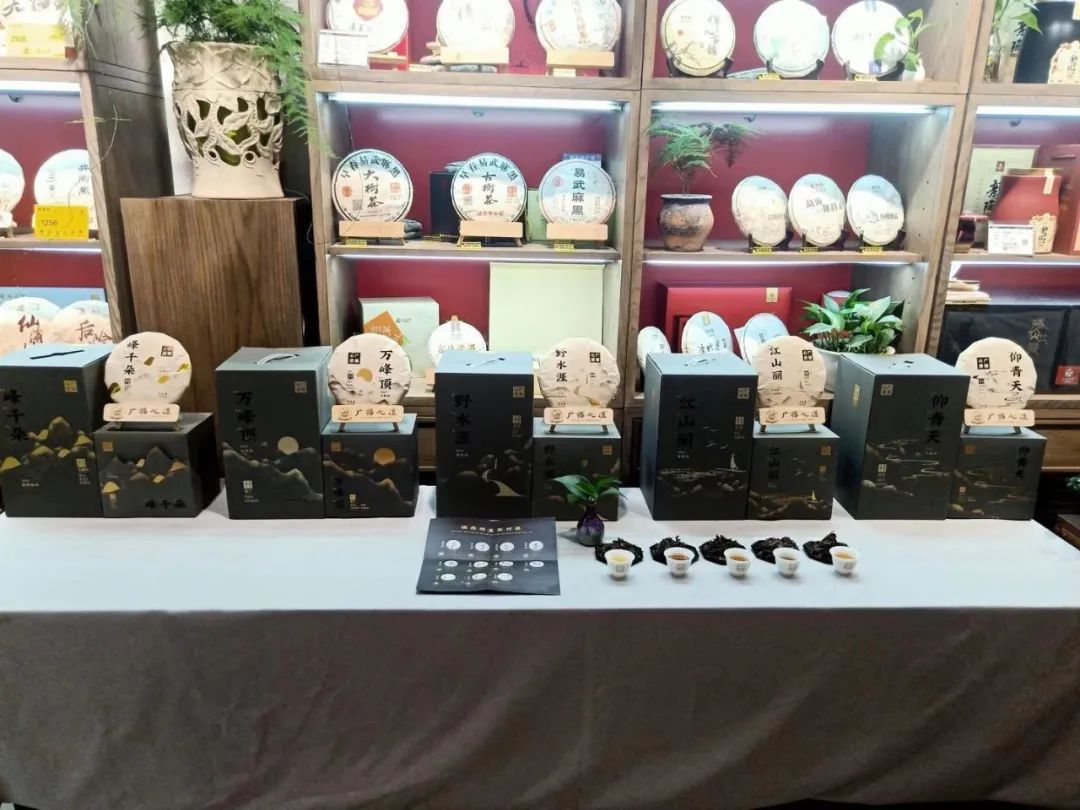 郑州、信阳、福清，三站村落品鉴会精彩回顾(图3)