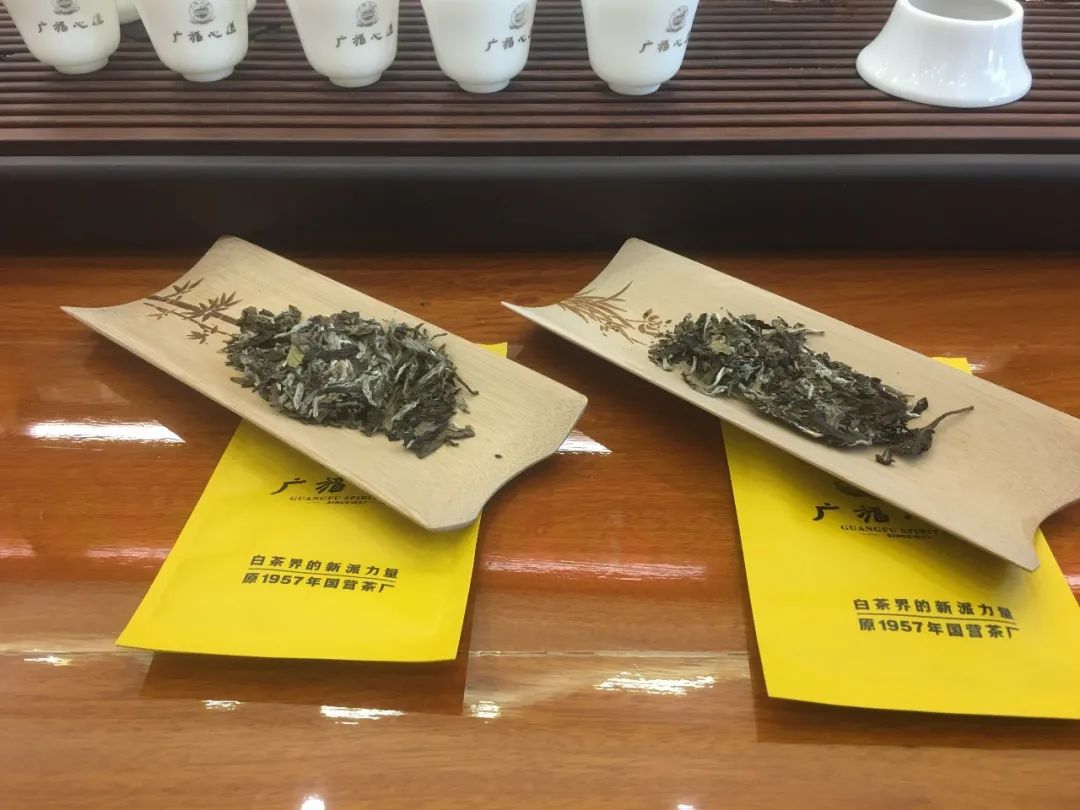 广福心道：厦门站村落品鉴会精彩回顾(图12)