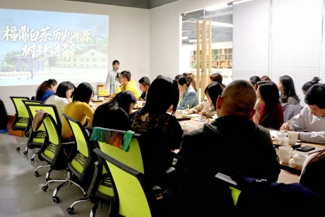 广福心道白茶集训营·广州茶博会专场落下帷幕，未来可期！ (图7)
