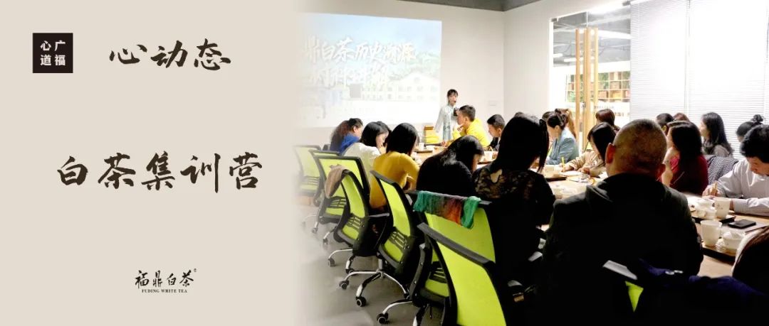 2020中国广州国际茶业博览会，广福心道在中华品牌馆顺利收官(图35)