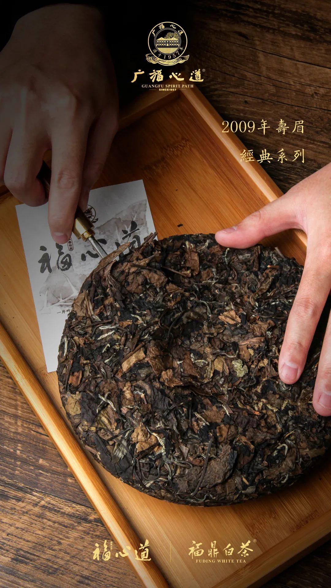 2020深圳国际秋季茶产业博览会，盛大开幕，广福心道现身展英姿！(图10)