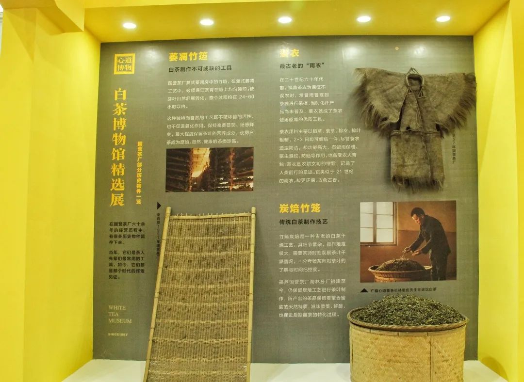 全球茶叶风向标2020深圳茶博会，广福心道白茶飘香大湾区，茶界盛会圆满落幕(图8)