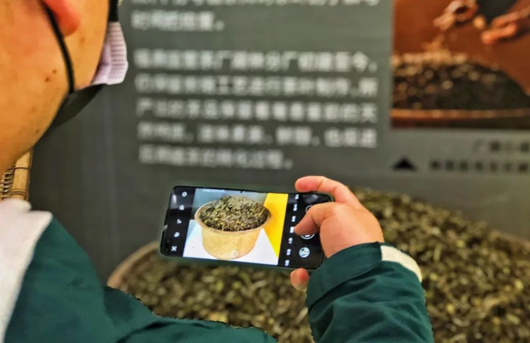 全球茶叶风向标2020深圳茶博会，广福心道白茶飘香大湾区，茶界盛会圆满落幕(图9)