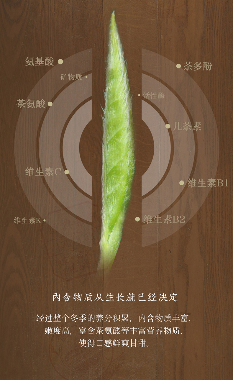 臻藏银针(图5)