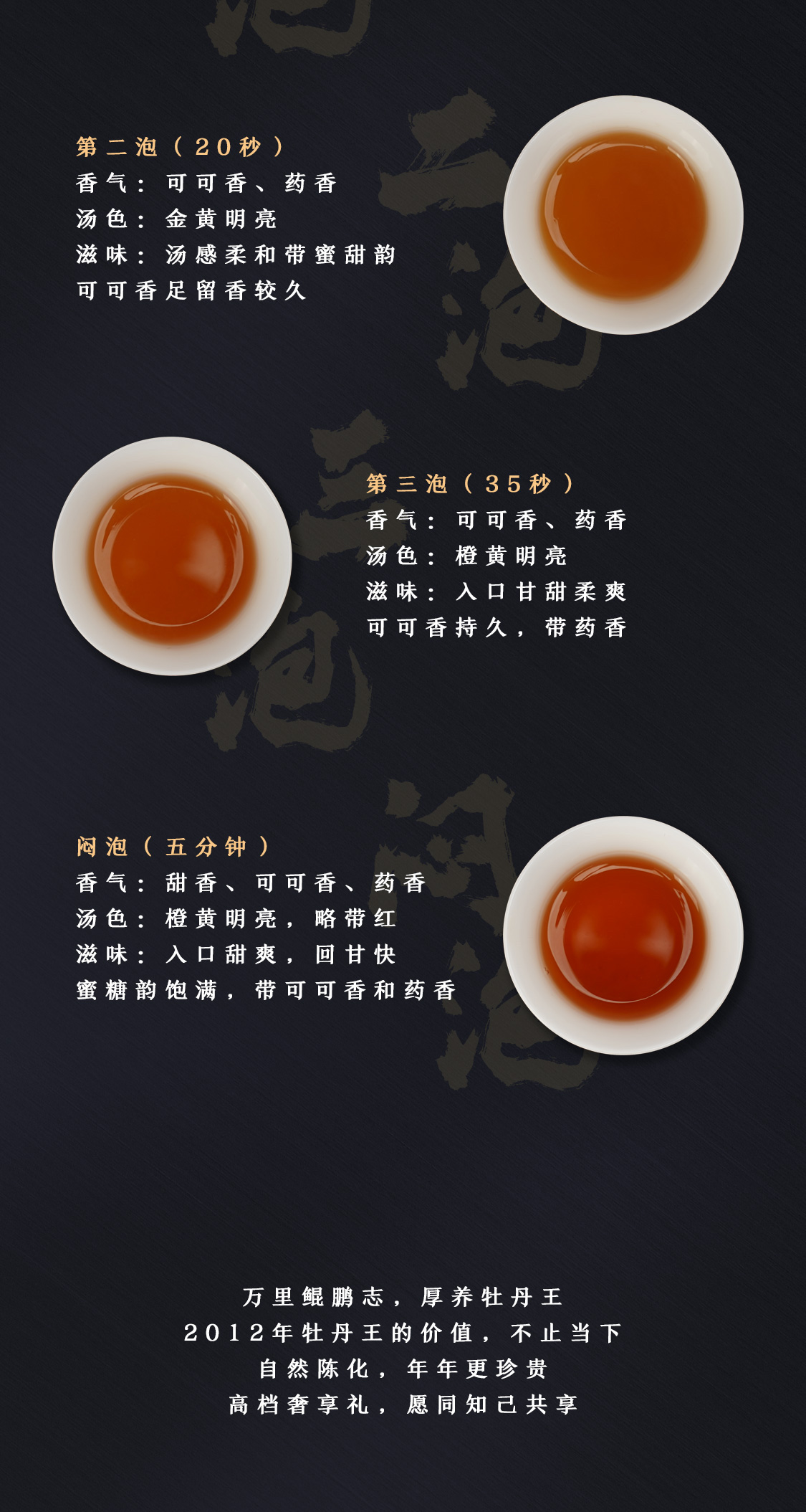 鲲鹏志(图12)