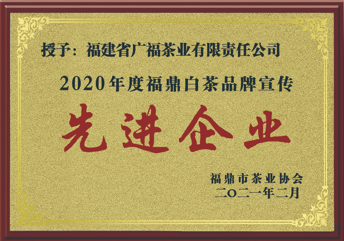 2020年度福鼎白茶品牌宣传先进企业