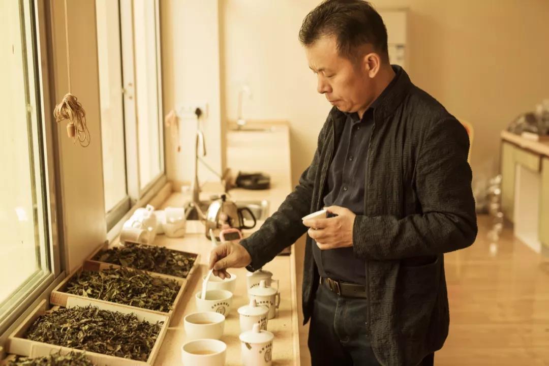 如何辨别新老工艺的福鼎白茶？