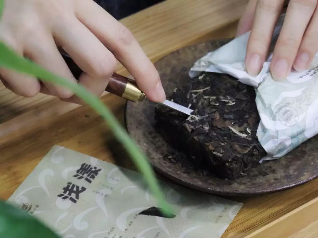 春、秋白茶大PK，头筹花落谁家？