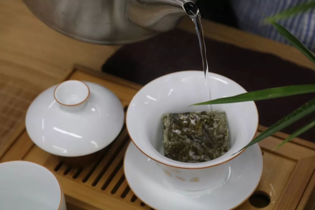 为了讲清楚白毫银针，我们搜集了这10个问题