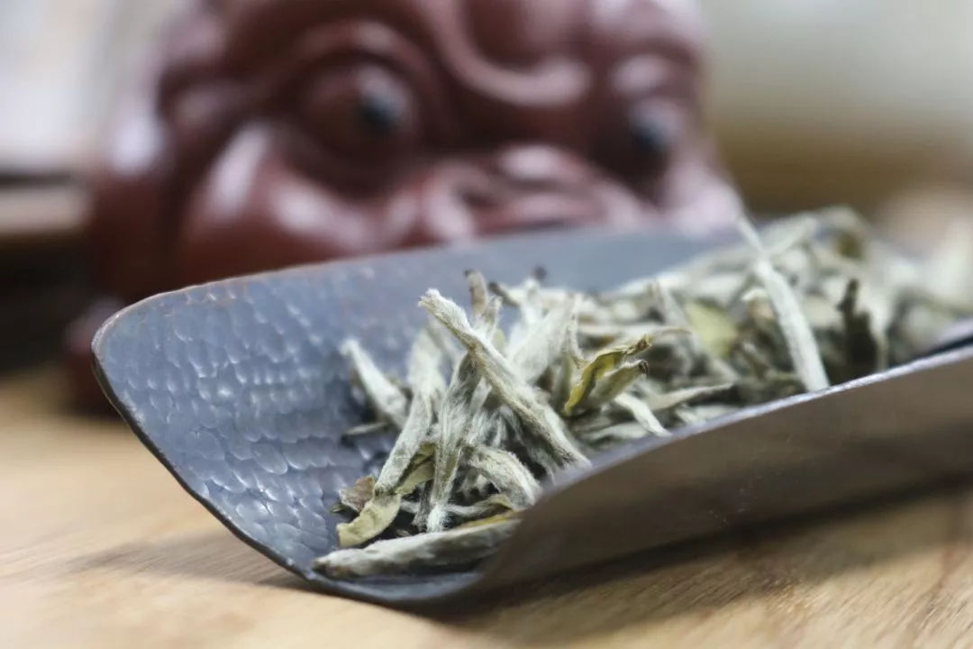 为了讲清楚白毫银针，我们搜集了这10个问题