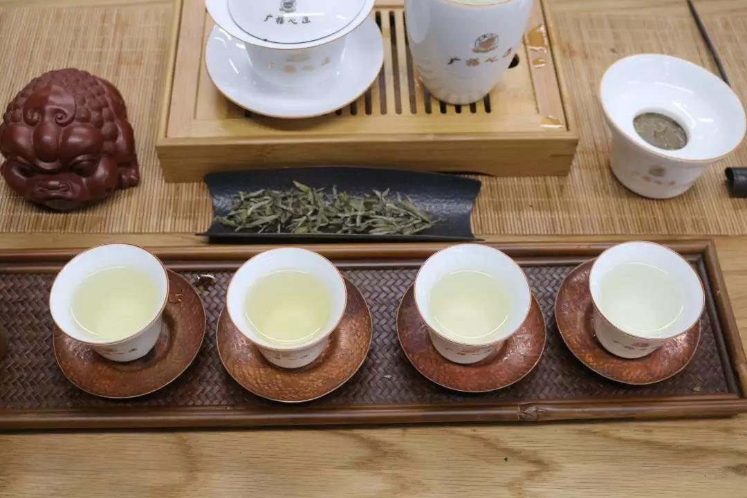 为了讲清楚白毫银针，我们搜集了这10个问题