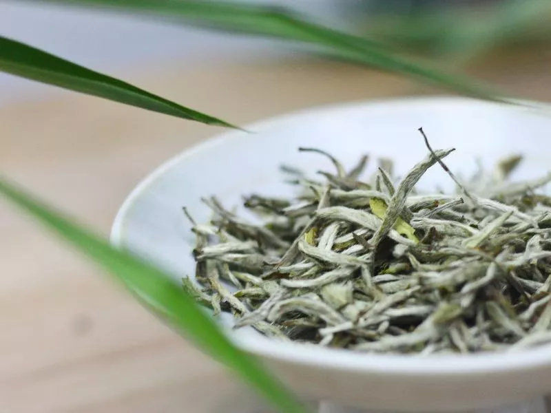 白茶分春秋？究竟谁更胜一筹？