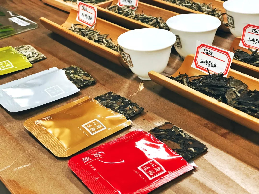 白茶分春秋？究竟谁更胜一筹？