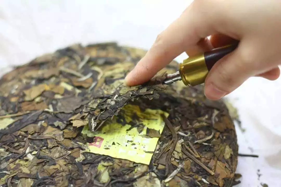 白茶分春秋？究竟谁更胜一筹？