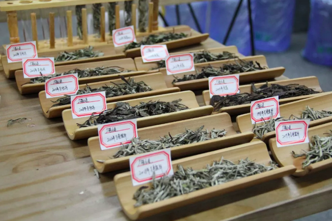 有青味的白茶一定不好？一分钟辨别青香和青臭！