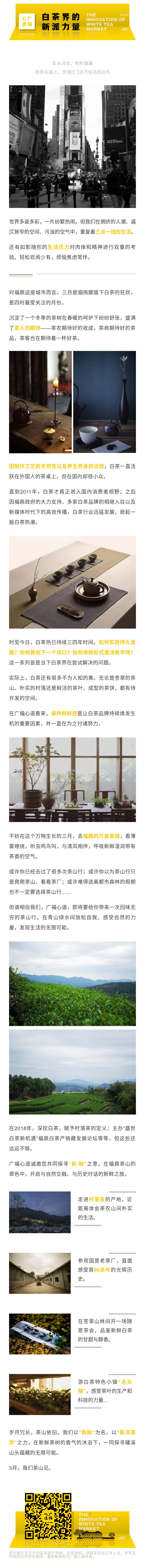 “没有新鲜感的茶山行，真的不如不去！”|心动态(图1)