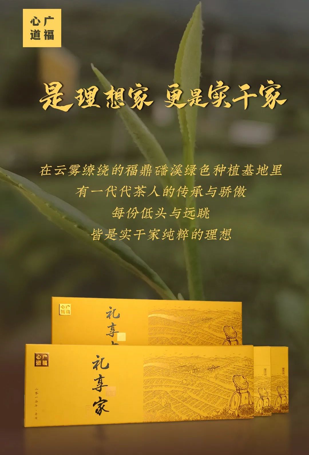 茶人理想，茗茶礼享，广福心道2020年首款饼干茶！|新品上市(图5)