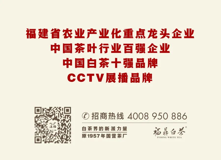 礼享家：首款烟条饼干茶 便捷商务茶礼！|心道测评(图5)