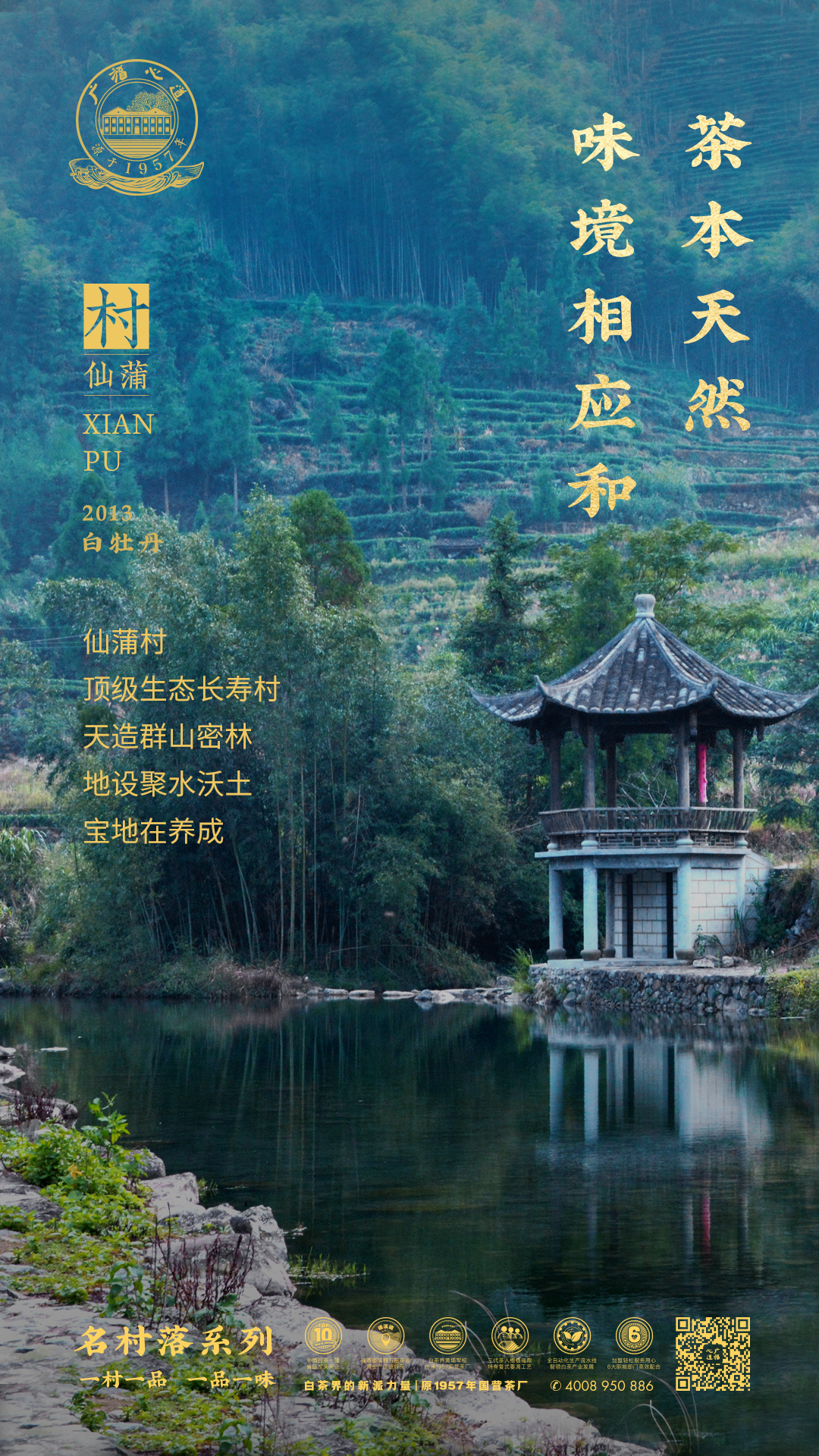 共陶然:从福鼎明星茶村到口中的极致“陈”味|心品上市(图5) 共陶然:从福鼎明星茶村到口中的极致“陈”味|心品上市(图5)