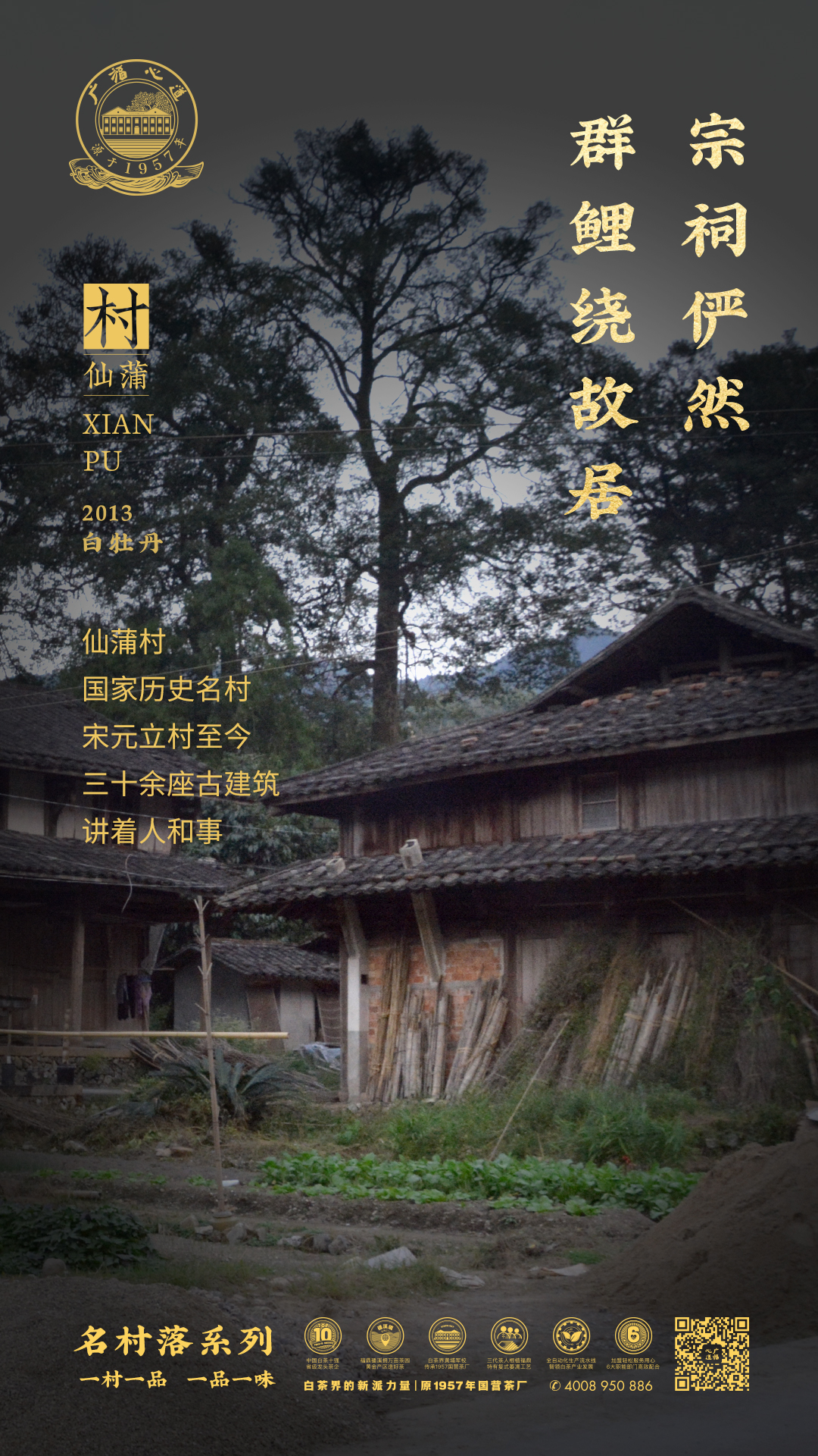 共陶然:从福鼎明星茶村到口中的极致“陈”味|心品上市(图4) 共陶然:从福鼎明星茶村到口中的极致“陈”味|心品上市(图4)