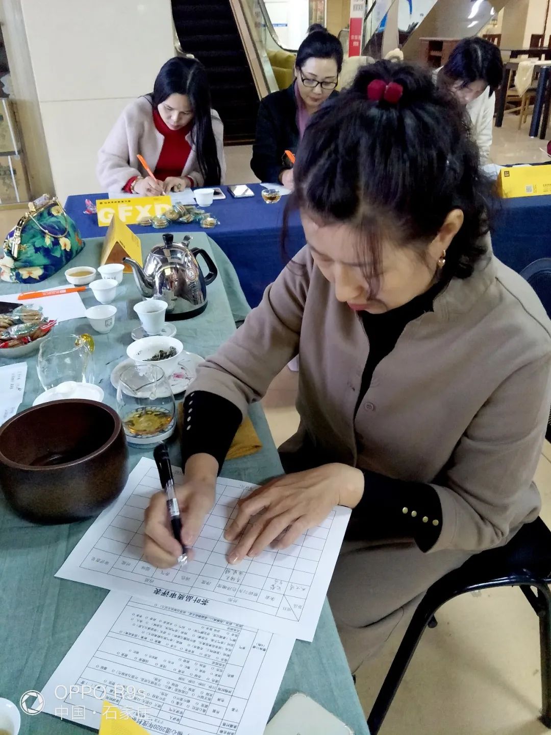 带君领略老白茶之味，广福心道石家庄站村落品鉴会精彩回顾(图10)