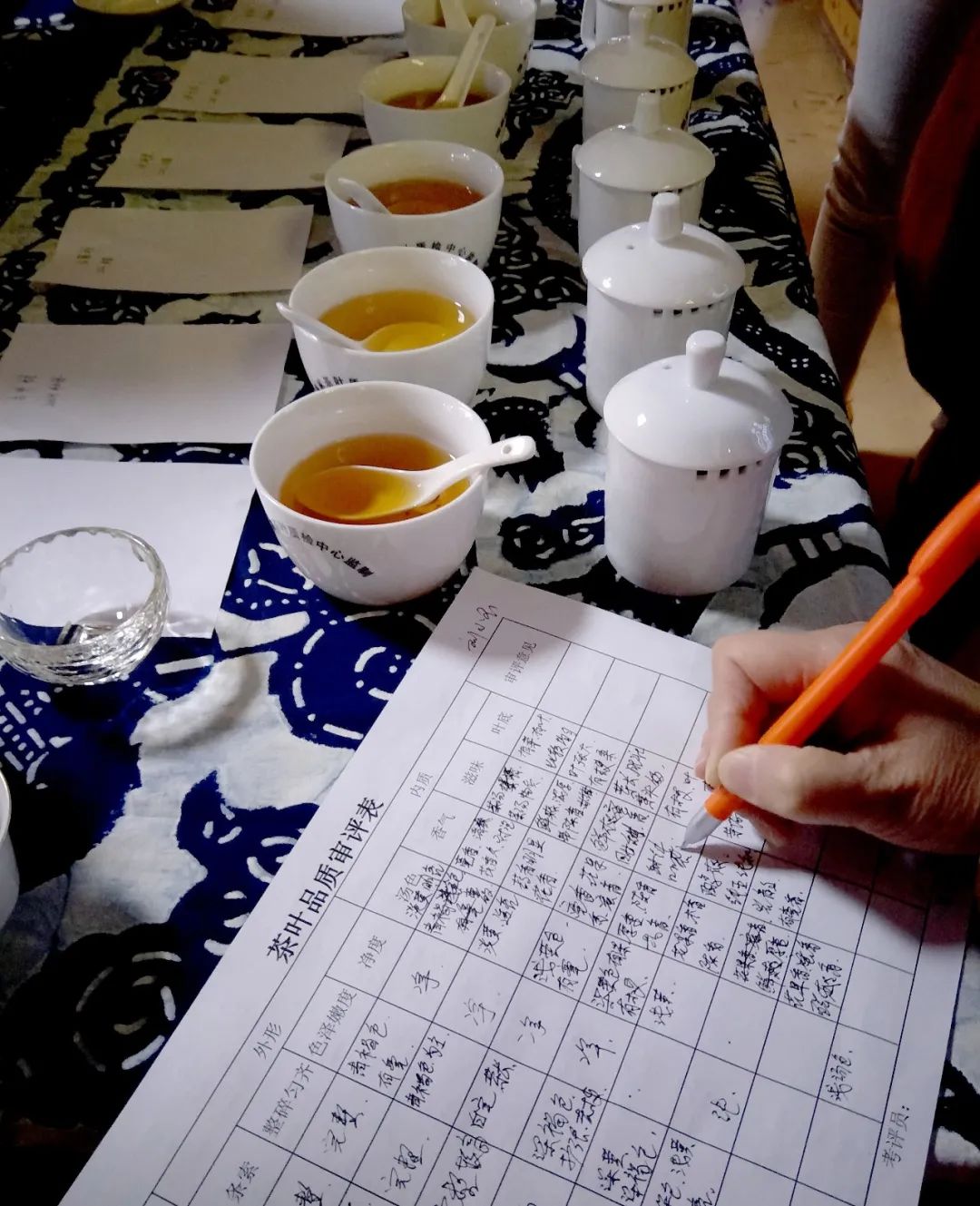 带君领略老白茶之味，广福心道石家庄站村落品鉴会精彩回顾(图7)