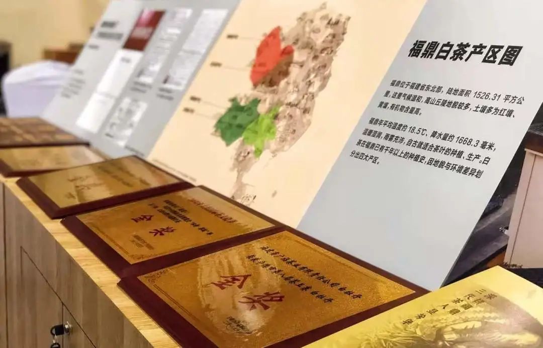 2020中国（广州）国际茶业博览会，中华品牌馆广福心道A1101展位与您共话白茶(图42)