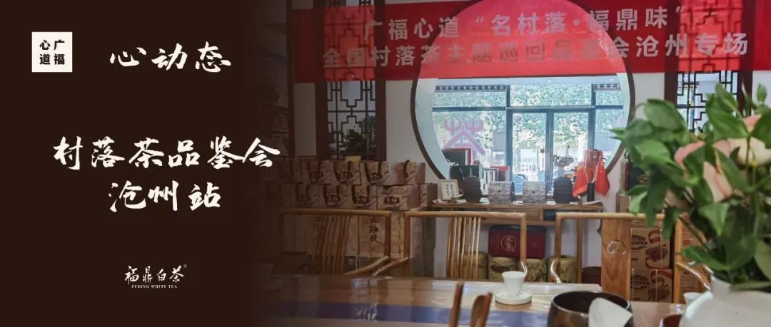 名村落全国品鉴会完美收官：联动17个城市，共鉴村落味道库！(图42)