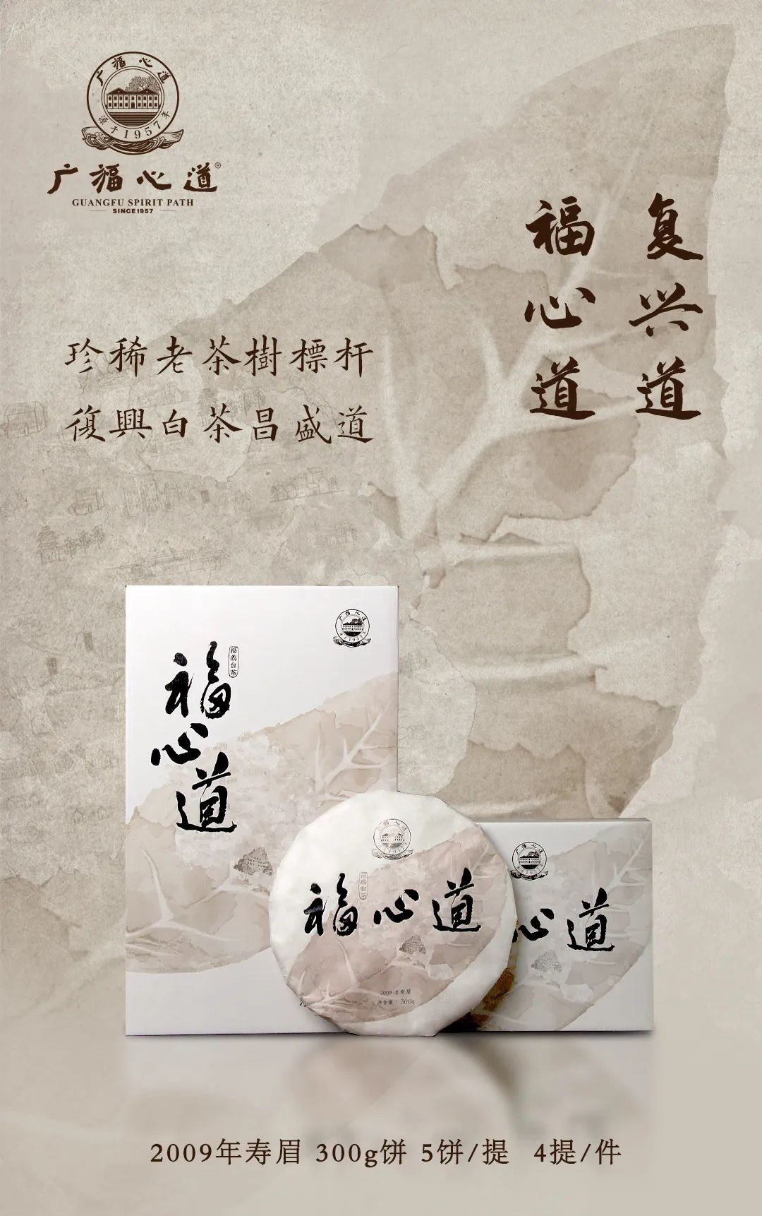 “复兴道，福心道”11年老寿眉展福鼎古味！(图2)