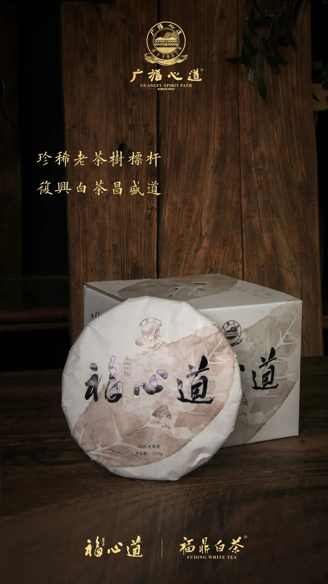 “复兴道，福心道”11年老寿眉展福鼎古味！(图6)