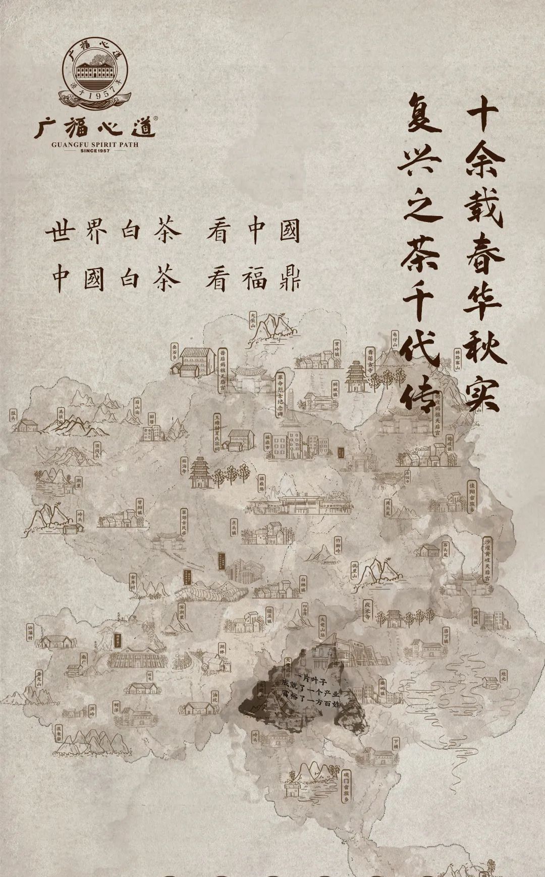 “复兴道，福心道”11年老寿眉展福鼎古味！(图8)