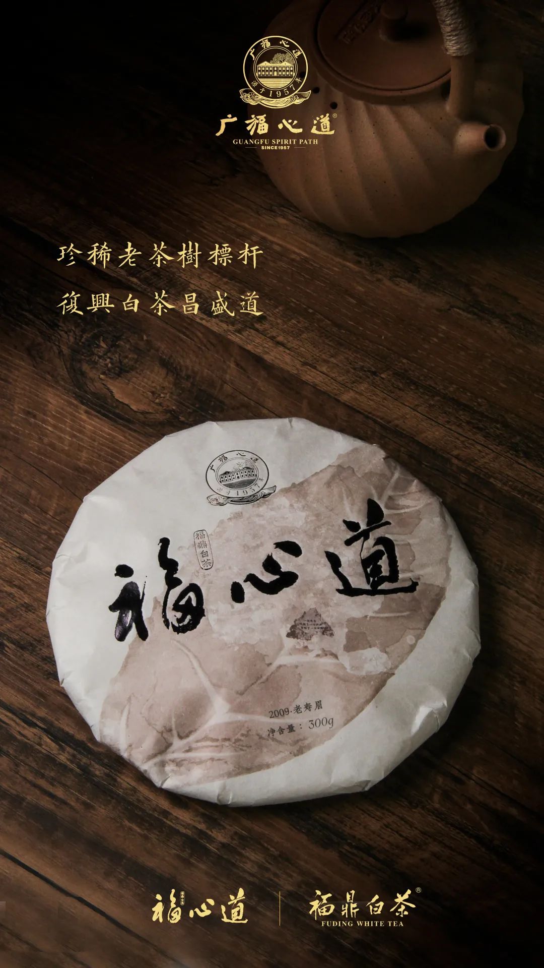 “复兴道，福心道”11年老寿眉展福鼎古味！(图10)