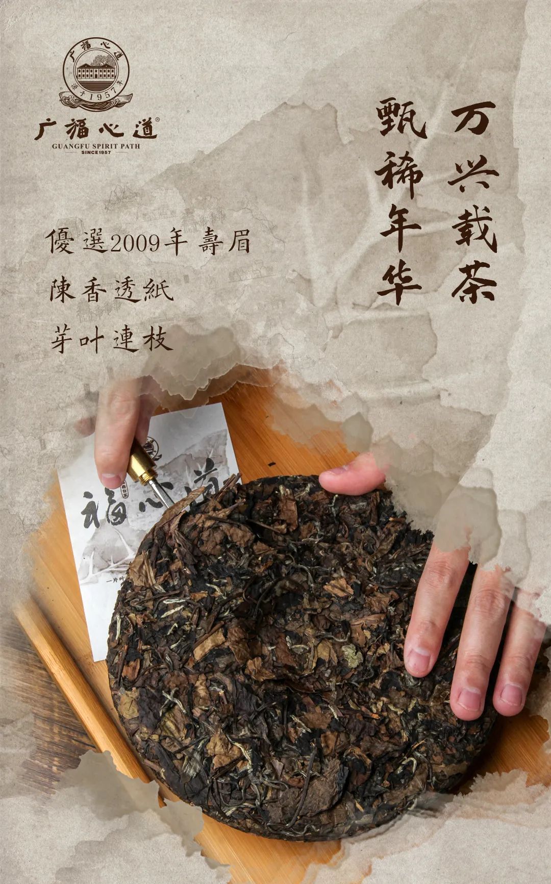 “复兴道，福心道”11年老寿眉展福鼎古味！(图11)