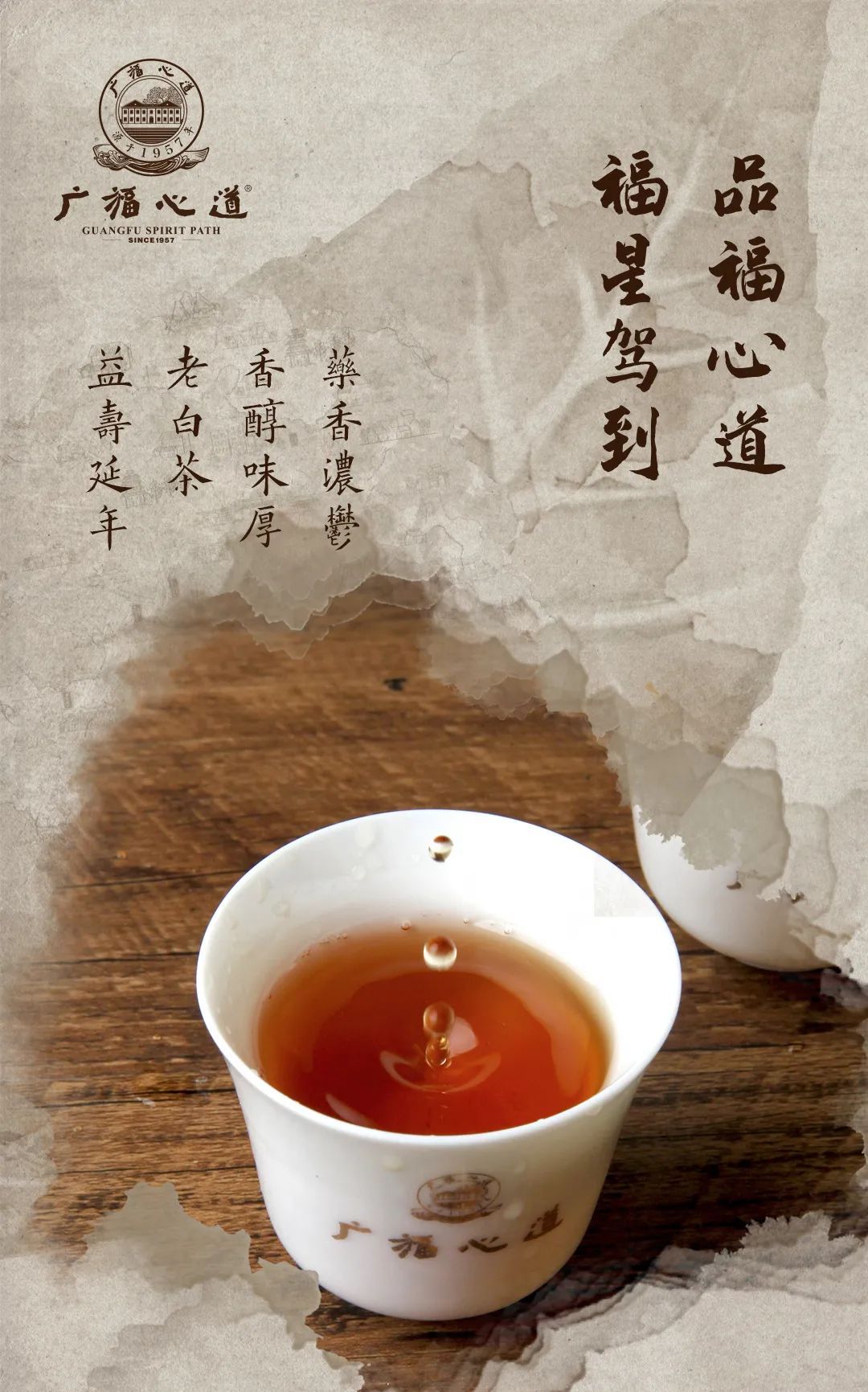“复兴道，福心道”11年老寿眉展福鼎古味！(图12)