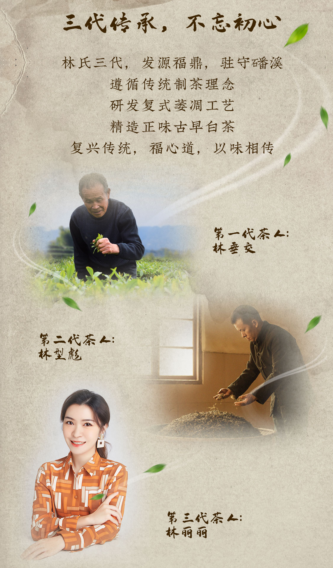 福心道：复兴福鼎白茶真“古”味！(图6)