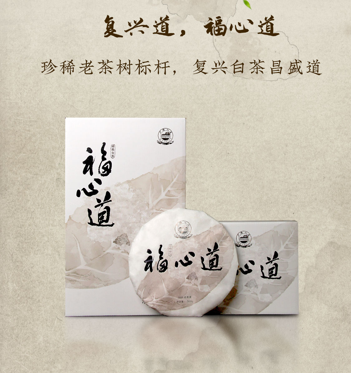 福心道：复兴福鼎白茶真“古”味！(图2)