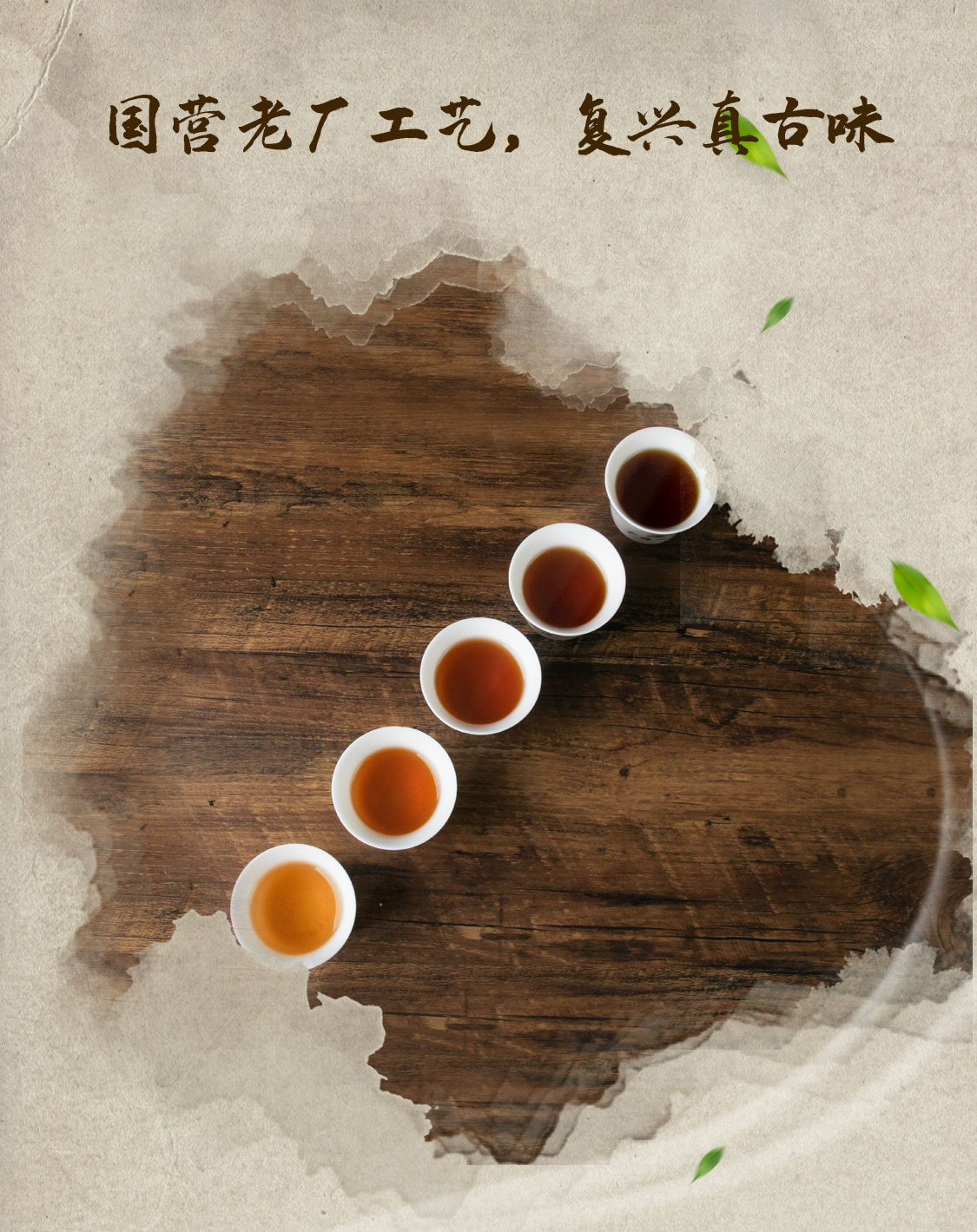 福心道：复兴福鼎白茶真“古”味！(图8)