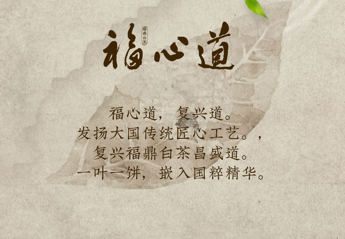 福心道：复兴福鼎白茶真“古”味！(图10)