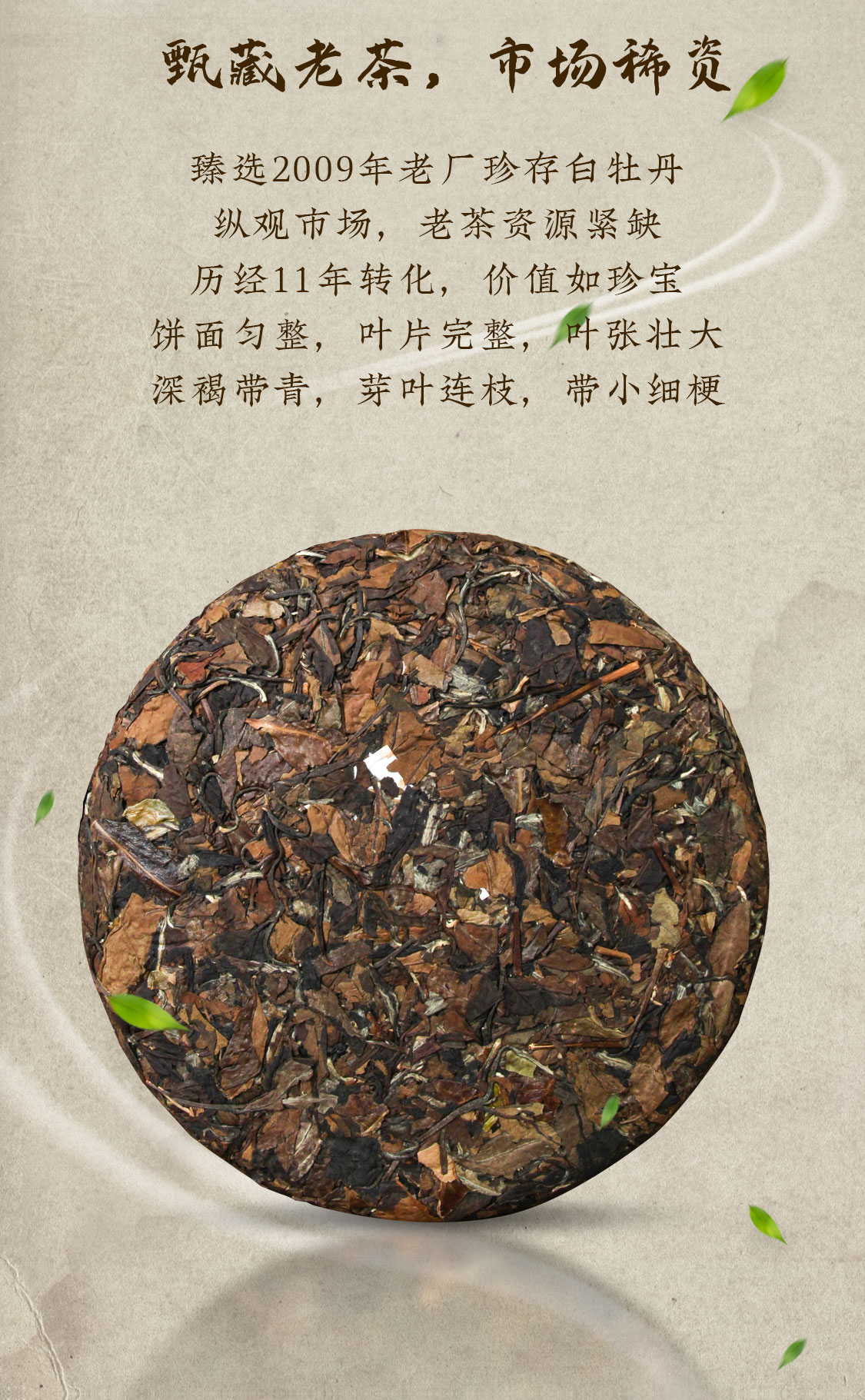 福心道：复兴福鼎白茶真“古”味！(图7)