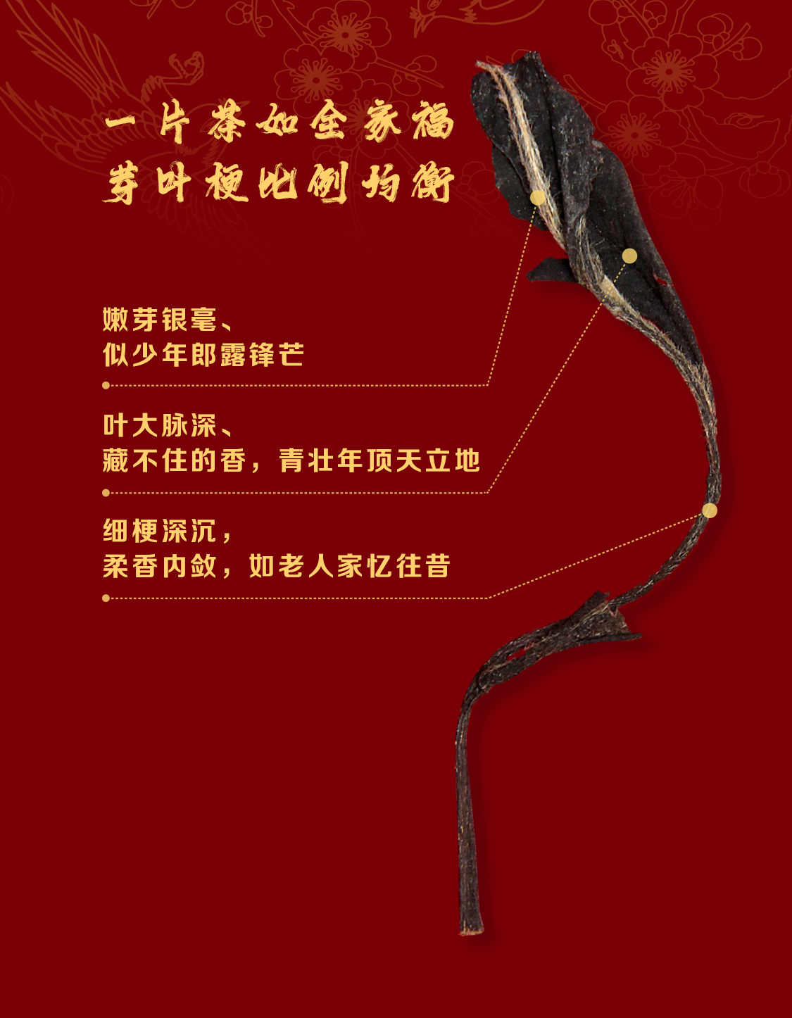 合家：超大一份喜庆礼盒，2013年寿眉味佳高营养(图9)