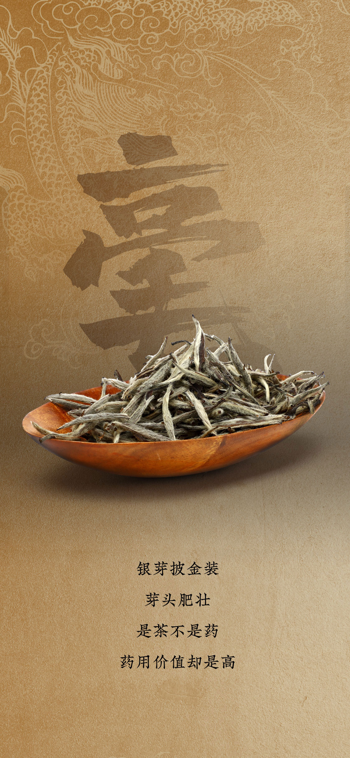 九五至尊2010年白毫银针：金针登场，笑傲江湖(图7)