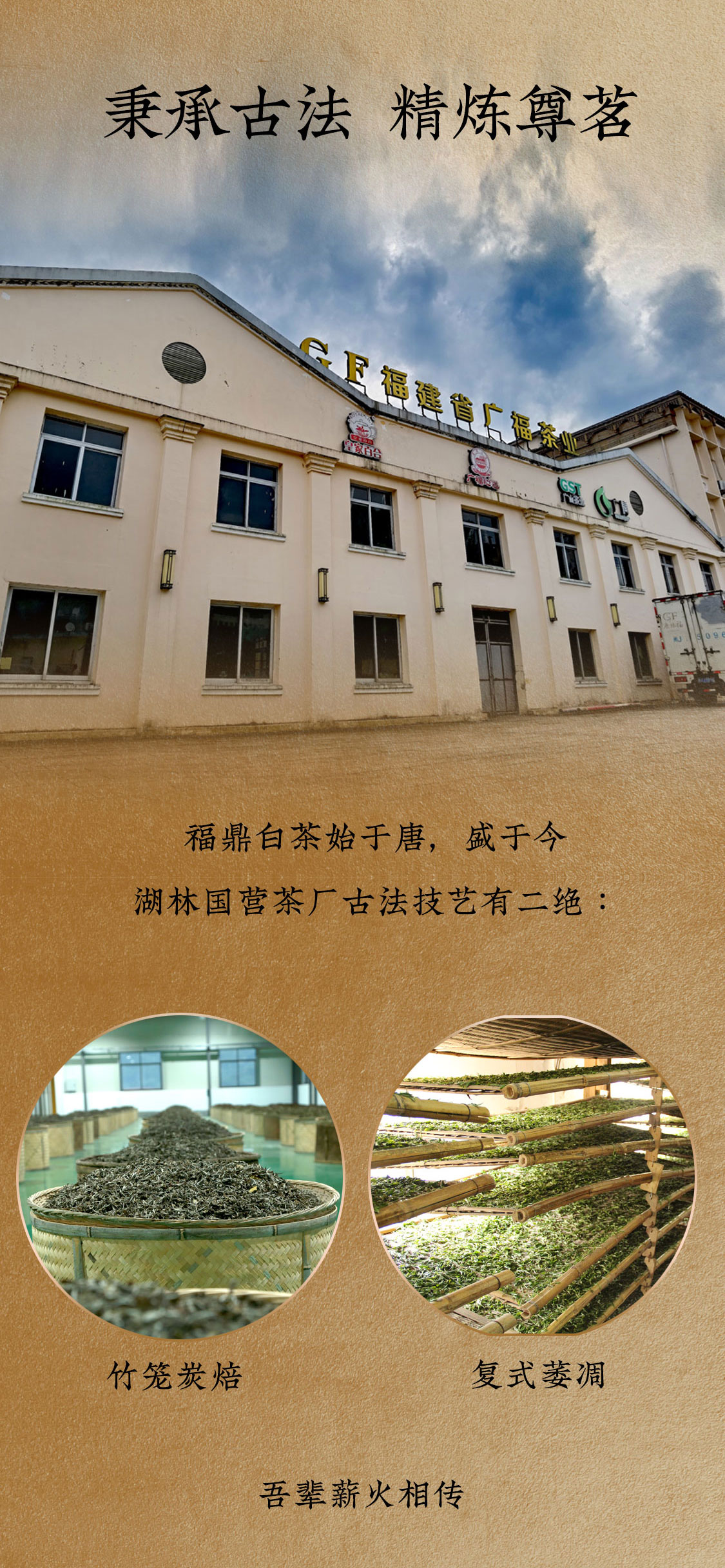 九五至尊2010年白毫银针：金针登场，笑傲江湖(图4)